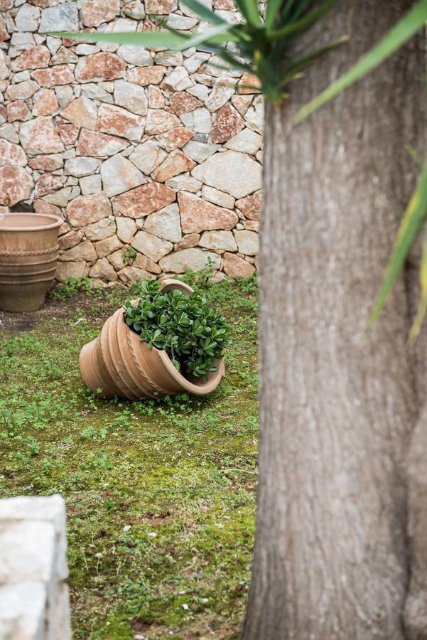 Zen Serenity Retreat With Great Outdoors, Pool & Parking Aptera エクステリア 写真
