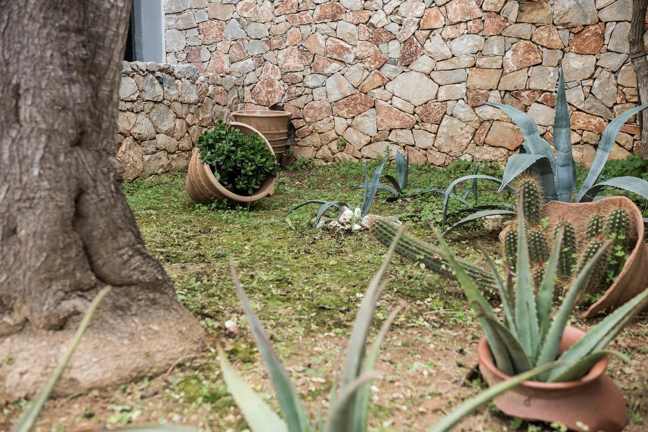 Zen Serenity Retreat With Great Outdoors, Pool & Parking Aptera エクステリア 写真